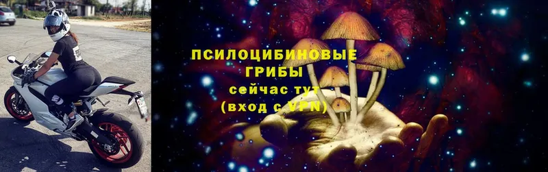 гидра ССЫЛКА  Любим  Галлюциногенные грибы Cubensis 